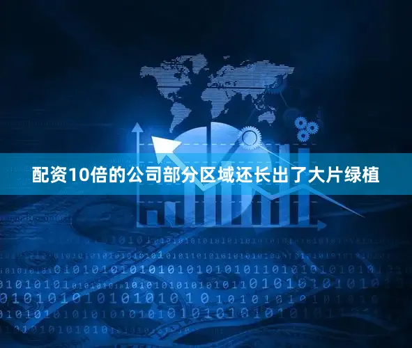 配资10倍的公司部分区域还长出了大片绿植
