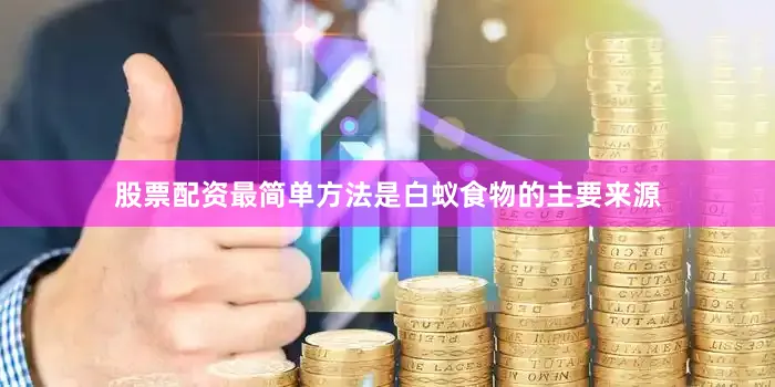 股票配资最简单方法是白蚁食物的主要来源