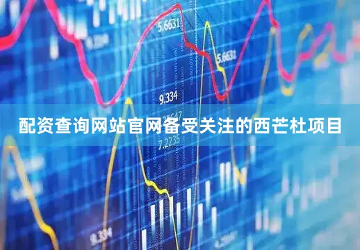 配资查询网站官网　　备受关注的西芒杜项目