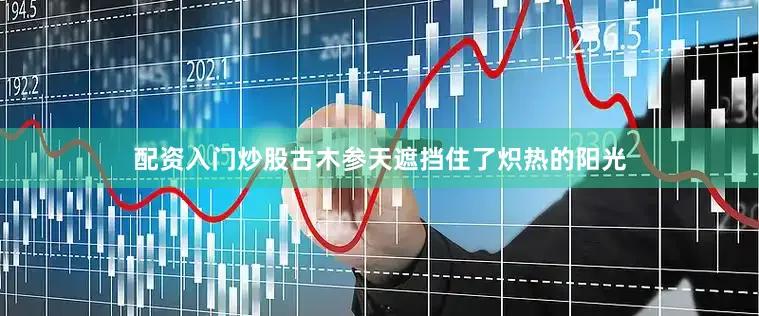 配资入门炒股古木参天遮挡住了炽热的阳光
